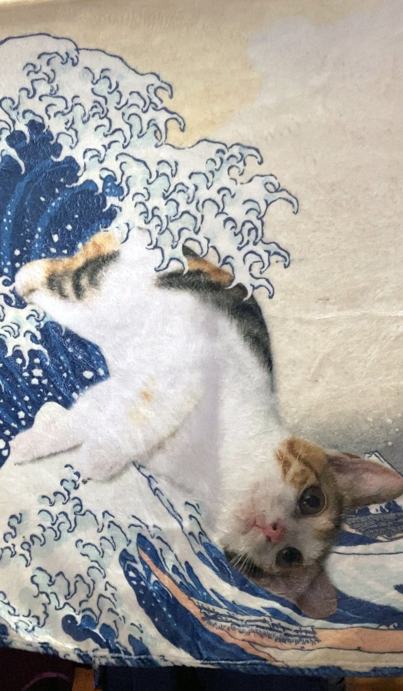 經典日本名畫-巨浪x寵物照片毛毯 The Cat in Great Wave of Kanagawa Blanket - HKGIFTFORU
