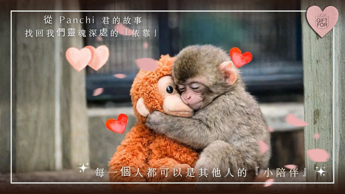 🐾 【情感診療室】從 Panchi 君的故事，找回我們靈魂深處對「依靠」的渴望