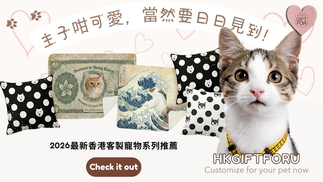 🐾 主子咁可愛，當然要日日見到！2026最新香港客製寵物系列推薦：寵物入畫訂製、香港鈔票寵物毛毯、抱枕攻略