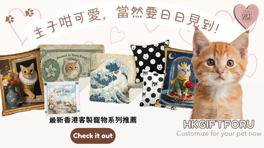 🐾 主子咁可愛，當然要日日見到！2026最新香港客製寵物系列推薦：寵物入畫訂製、香港鈔票寵物毛毯、抱枕攻略
