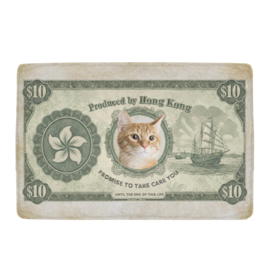 港幣寵物鈔票訂製・毛孩專屬Dollar Bill（香港特色寵物禮物）毛毯掛布 - HKGIFTFORU